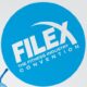Thuy Bridges presents at FILEX 2018