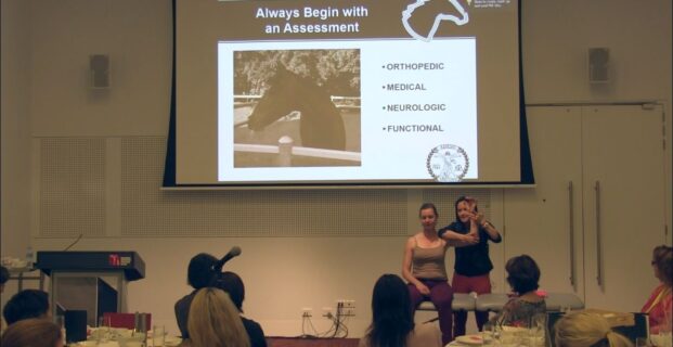 Thuy Bridges presents at Physiotherapy conference